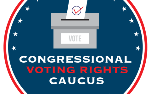 Voting Rights Caucus Logo 